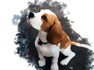 Beagle