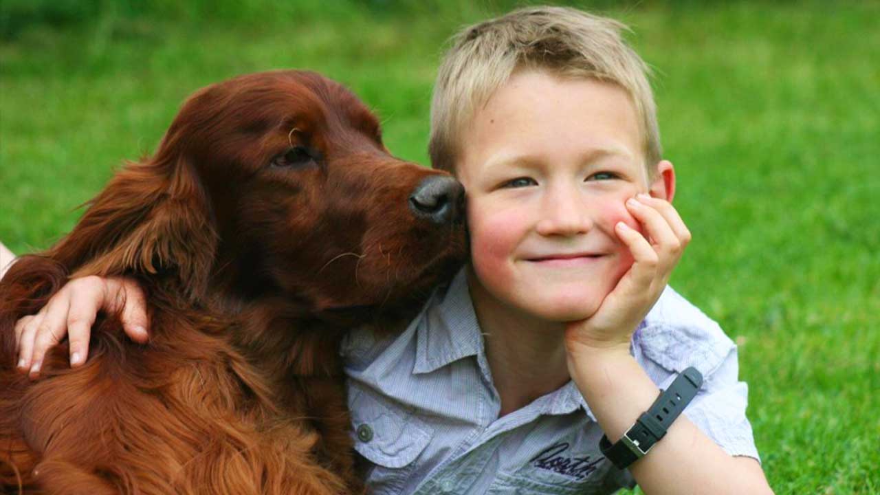 cachorros para crianças